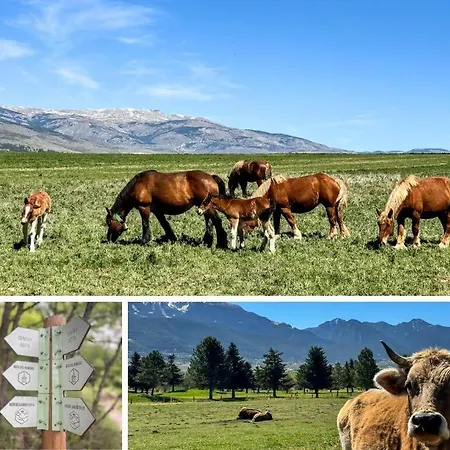 Chez Bonheur * Osséja