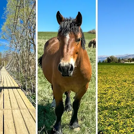 Chez Bonheur Osséja